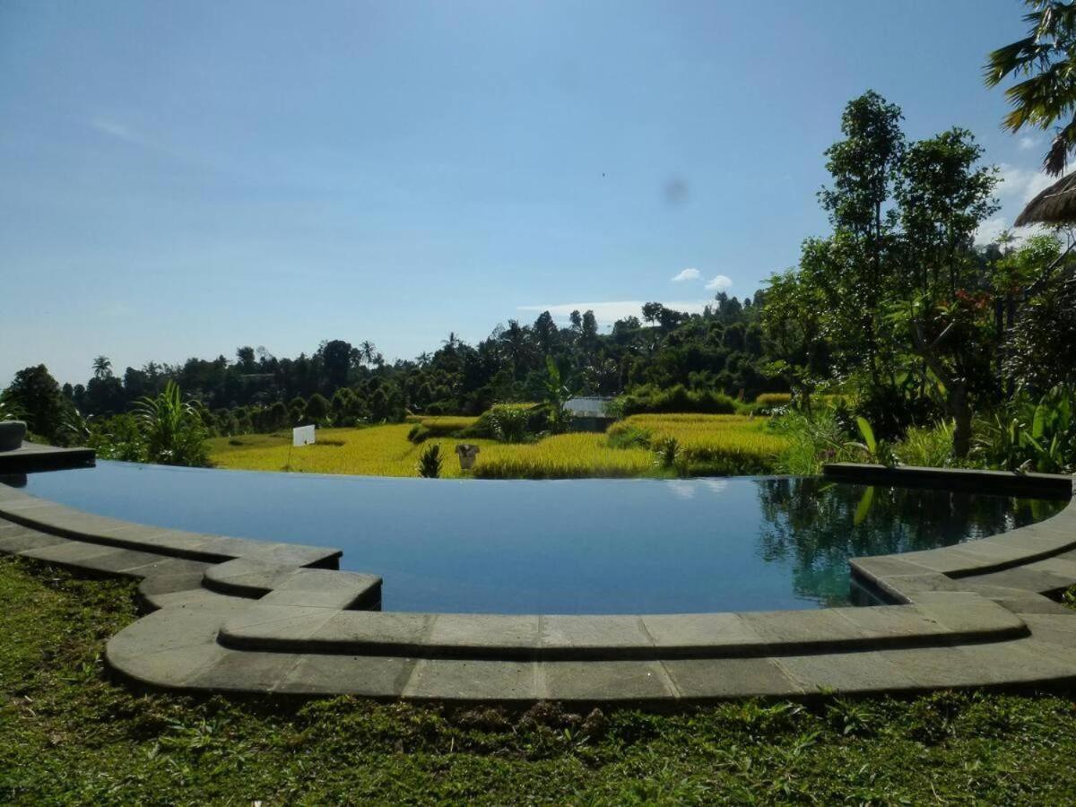 Pondok Apsari 2 Singaraja エクステリア 写真