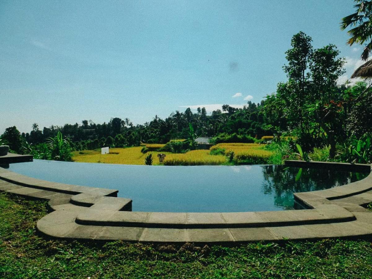 Pondok Apsari 2 Singaraja エクステリア 写真