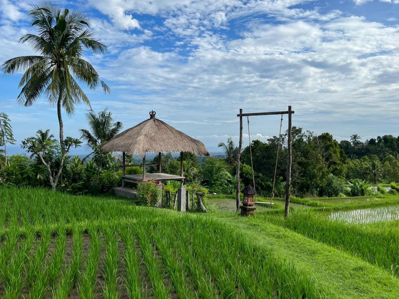 Pondok Apsari 2 Singaraja エクステリア 写真